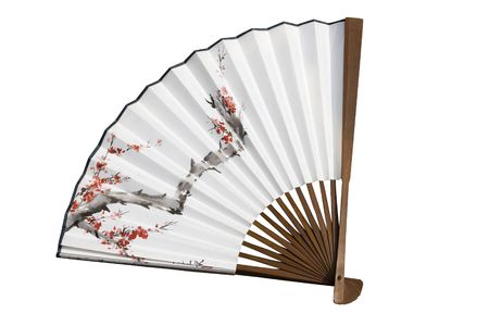 Traditionally painted Chinese fan.  The fan has been opened up to reveal a tree with blossom on it.の写真素材
