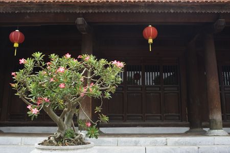 This was taken at the Temple of Literature in Hanoi.  This temple is dedicated to Confucius, a...