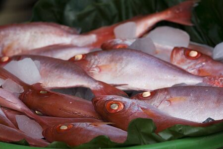 Red sea fish on a basket of leaves.  These attractive fish are for sale in a wet market.の写真素材