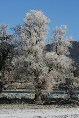 This building has incorporated plants and trees into it's design.  It's a modern building and uses many design elements as well as plants.の写真素材