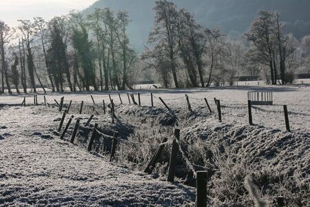 Ice-covered trees in a wintry scene and with a blue sky.  The ice came from freezing fog.  の写真素材
