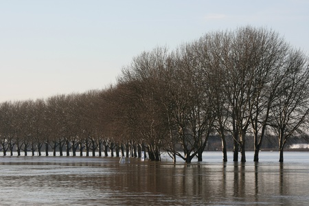 A river has flooded it's bank and the surrounded countryside is underwater.  This line of trees helps to show the extend of the flood.の写真素材