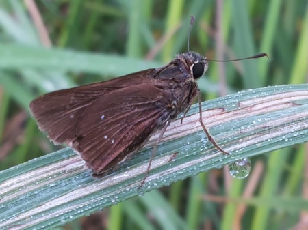 Betterflyの写真素材