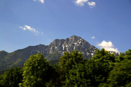 Spring in Bavaria III