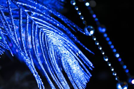 Christmas background and decorations の写真素材