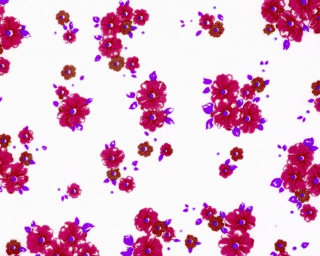 seamless rose background pattern design の写真素材