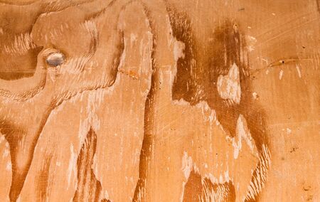 Texture of wood pattern background 