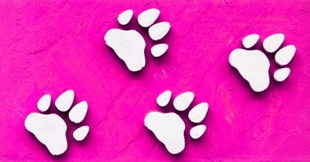 Dog s Footprints Seamless Pattern の写真素材