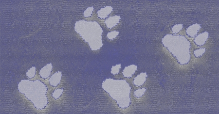 Dog s Footprints Seamless Pattern の写真素材