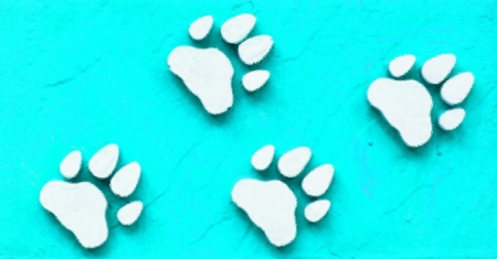 paw print の写真素材