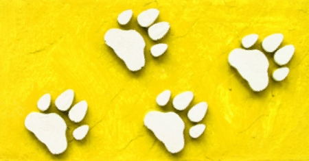 Dog s Footprints Seamless Pattern 