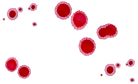 Red blot of watercolor paint  blood 