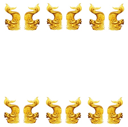 Dragon fish backgroundの写真素材