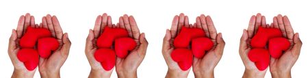 love concept  holding a red hearts in hands の写真素材