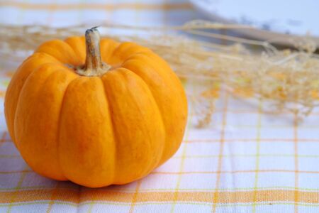 Close up of pumpkin on wood background, with blank space and decorated.の写真素材