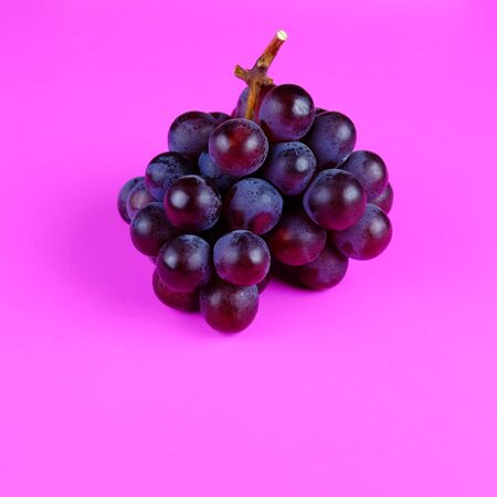 Close up of Healthy grape on pink background style, selective focus and copy space.の写真素材
