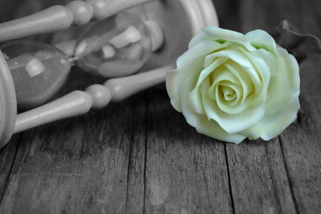 Close up of White rose and hourglass on wood background, vignette effect concept. Time concept and copy space, vintage style, black and white tone.の写真素材