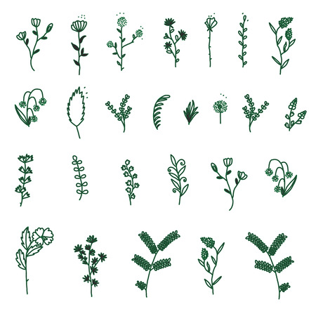 Hand drawn of flower and tree doodle set on white background. Vector illustration design for wedding, logo, templates, invitation and valentine day concept.の写真素材