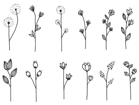 Hand drawn of flower and tree doodle set on white background. Vector illustration design for wedding, logo, templates, invitation and valentine day concept.の写真素材