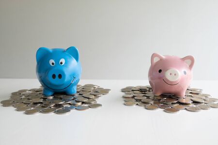 pink and blue two piggy bank saving money with coins pile.の写真素材