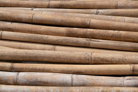 brown bamboo pile prepare for construction building materials.の写真素材
