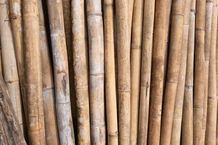 brown bamboo pile prepare for construction building materials.の写真素材