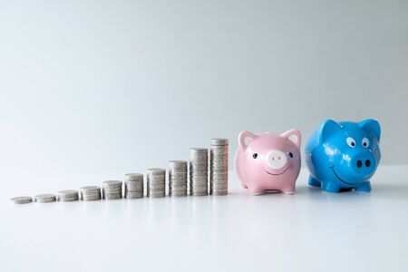 blue and pink piggy bank saving money with coins bar graph, step up help each other business to success and saving for retirement conceptの写真素材