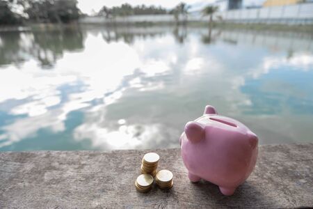 Pink piggy bank and gold coin pile on brown wooden with water and clouds background, step up growing business to success and saving for retirement concept.の写真素材