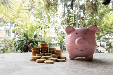 Pink piggy bank and golden coins pile on wooden table with the natural background, step up growing business to success and saving for retirement concept.の写真素材