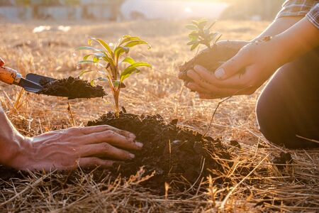 Young men join hands together to plant trees on fertile ground. The concept of protecting nature.の写真素材