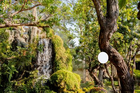 Photos of garden, trees, waterfalls, background, sunlight, natural, beautiful, green, can be used as a background.の写真素材