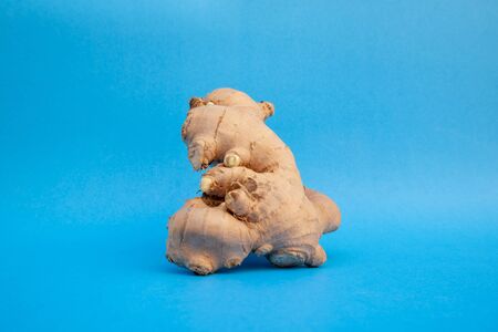 Ginger fresh on blue background. concept healthy spice diet.