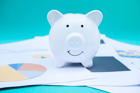 piggy bank on report document about the charts, graphs and showing the results for planning management new project.の写真素材