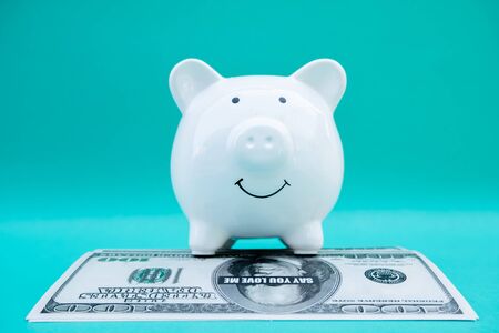 piggy bank is saving money with dollars. Step into a growing business to be successful and save for...