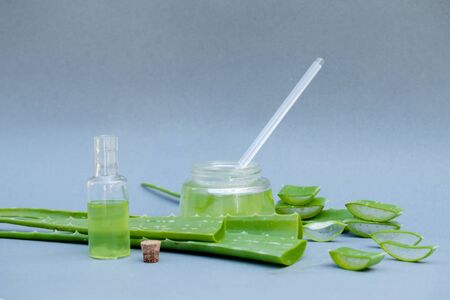 Aloe vera Gel that has both substances to cure scars And used to produce health drinks Or cosmetics that are good for the skin.の写真素材
