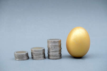 Golden eggs and coins to grow into a successful and economical business for retirement.