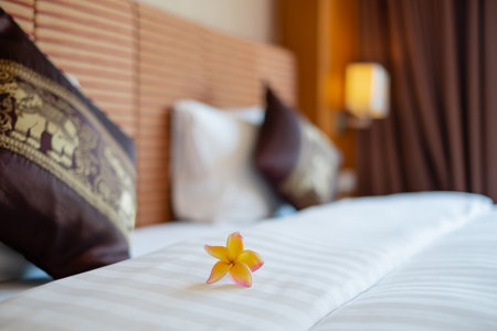 The hotel maid cleans and makes the bed in the hotel room.の写真素材