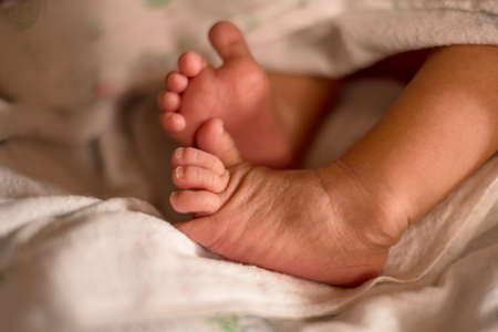 Tiny newborn baby feet, tiny bare feet of tiny newborns. Happy family concept.の写真素材