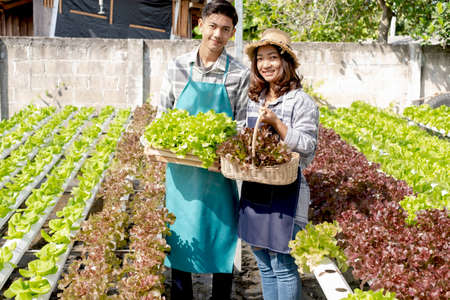 Hydroponics, smiling young Asian couple farmers holding vegetable baskets, standing on a farm, growing organic, commercial organic vegetables. Organic farming business concept.の写真素材