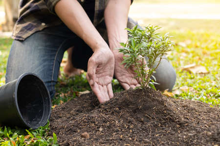 The young man's hands are planting young seedlings on fertile ground, taking care of growing plants. World environment day concept, protecting nature.の写真素材