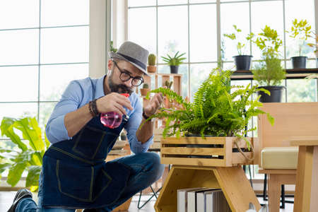 An elderly man handsome with have mustache wearing glasses is happy with tree care. is a hobby of gardening at home, living happily after retirement. Concepts nature and environment.の写真素材