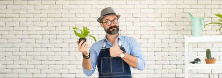 An elderly man handsome with have mustache wearing glasses is happy with tree care. is a hobby of gardening at home, living happily after retirement. Concepts nature and environment.の写真素材