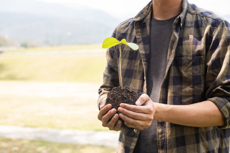 The young man's hands are planting young seedlings on fertile ground, taking care of growing plants....