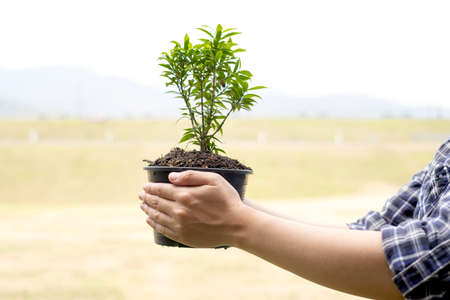 The young man's hands are planting young seedlings on fertile ground, taking care of growing plants....