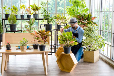 An elderly man handsome with have mustache wearing glasses is happy with tree care. is a hobby of gardening at home, living happily after retirement. Concepts nature and environment.の写真素材