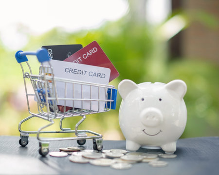 Credit Card. shopping cart credit card coin and piggy bank with green nature background and copy space concept online shopping and Payments.の写真素材