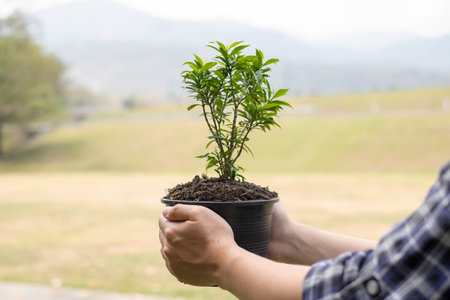 The young man's hands are planting young seedlings on fertile ground, taking care of growing plants....