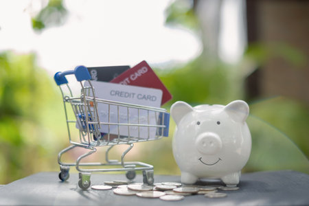 Credit Card. shopping cart credit card coin and piggy bank with green nature background and copy space concept online shopping and Payments.の写真素材