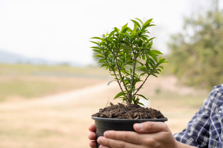 The young man's hands are planting young seedlings on fertile ground, taking care of growing plants....