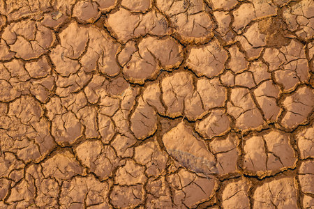 Closeup of dry soil  の写真素材